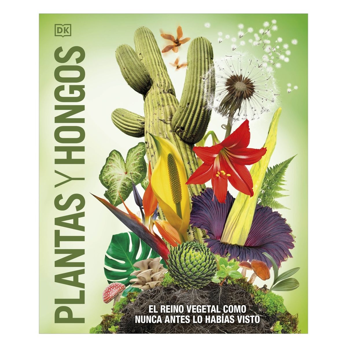 TOP10BOOKS - LIBRO Plantas Y Hongos (mundo 3d) - Plantas Y Hongos (Mundo 3D)