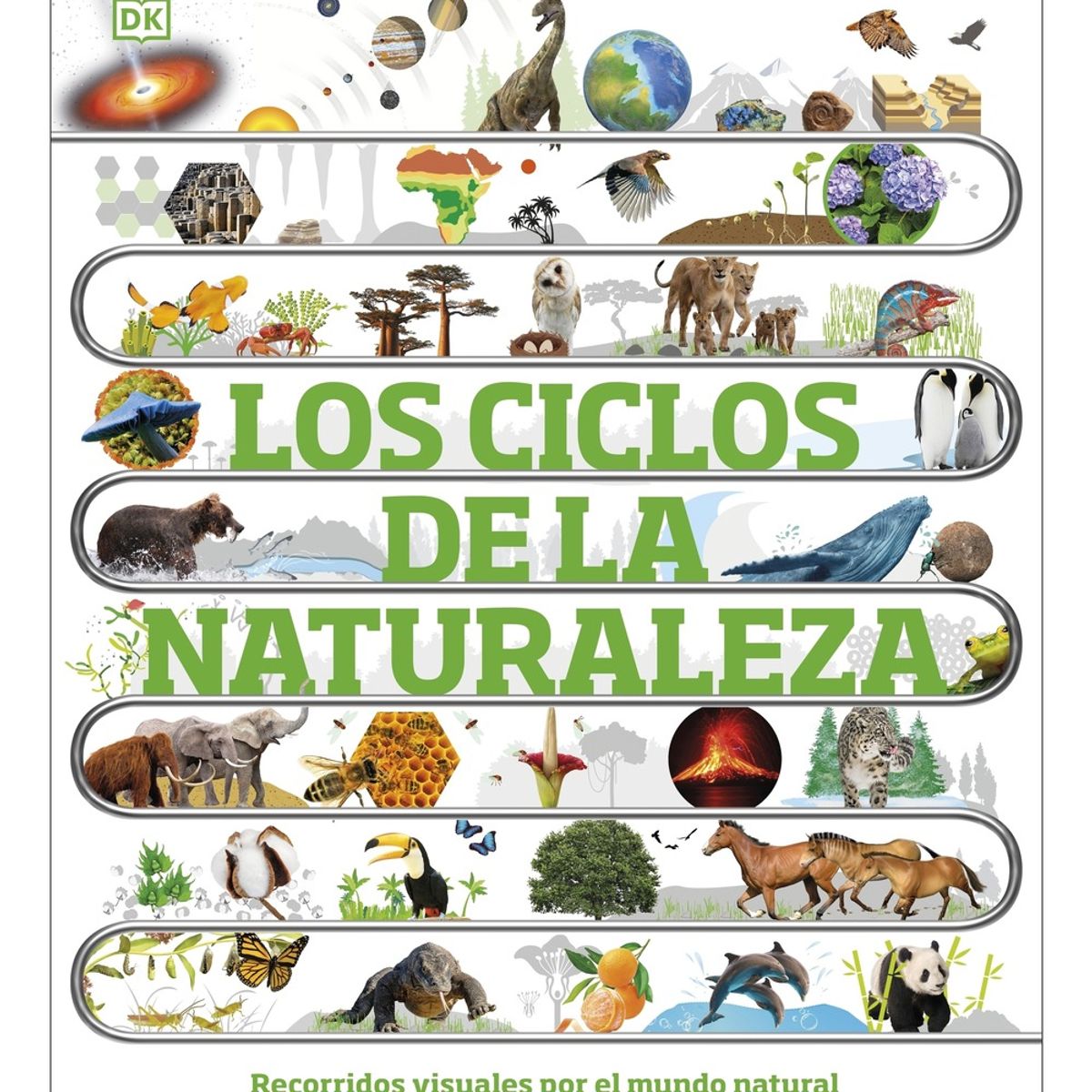 TOP10BOOKS - LIBRO Los Ciclos De La Naturaleza - Los Ciclos De La Naturaleza