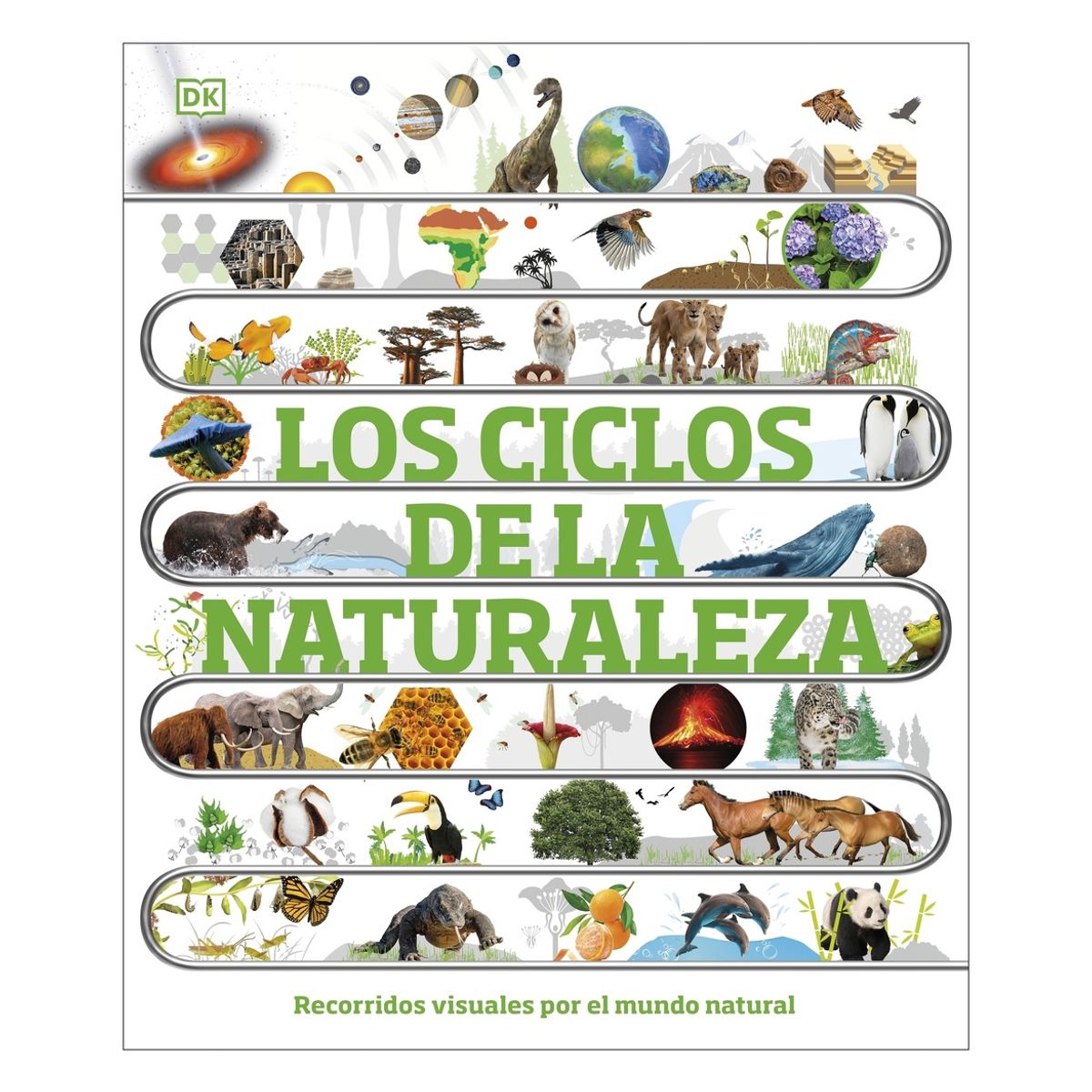 TOP10BOOKS - LIBRO Los Ciclos De La Naturaleza - Los Ciclos De La Naturaleza
