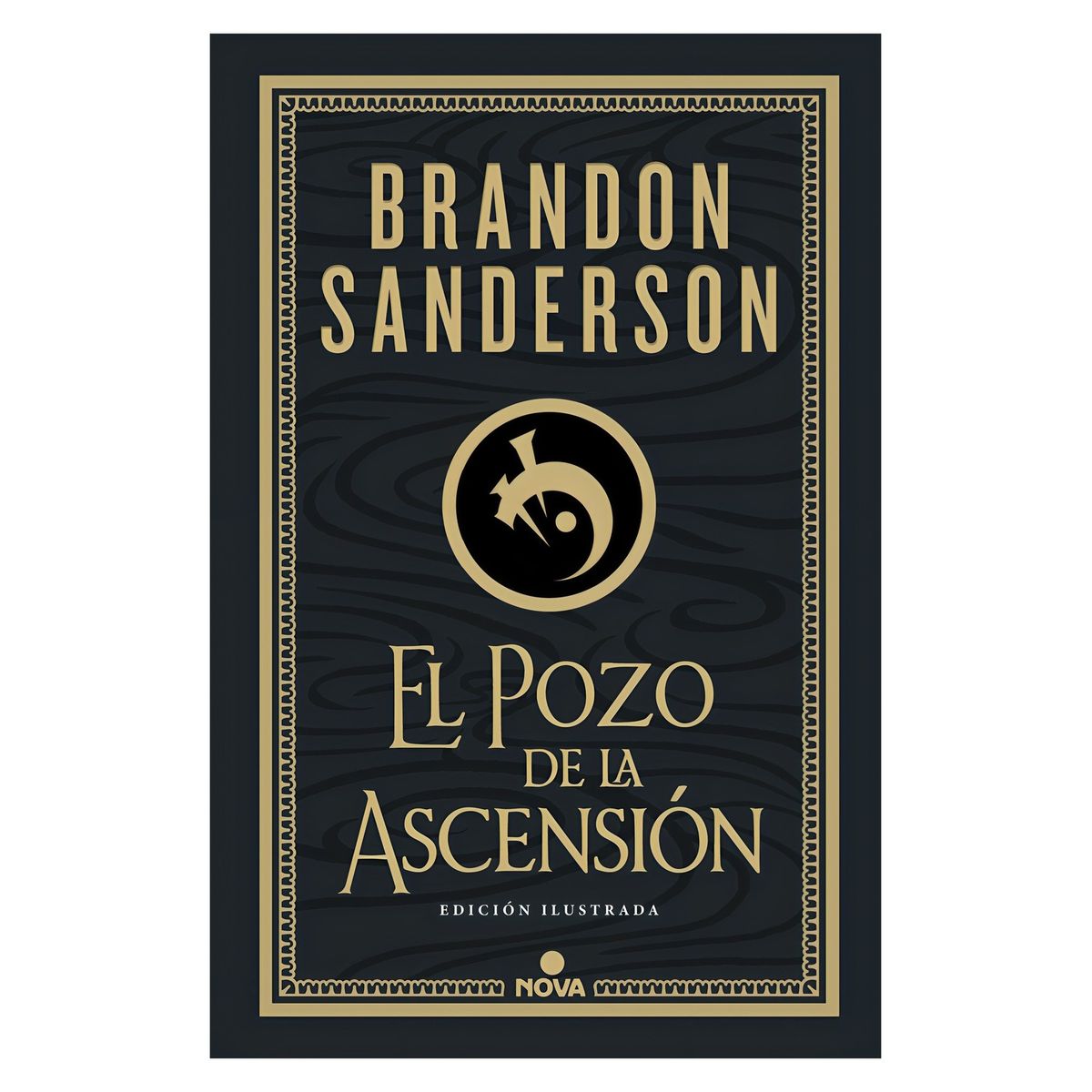 TOP10BOOKS - LIBRO EL POZO DE LA ASCENSIÓN [EDICIÓN ILUSTRADA] / BRANDON SANDERSON ; RICKY H