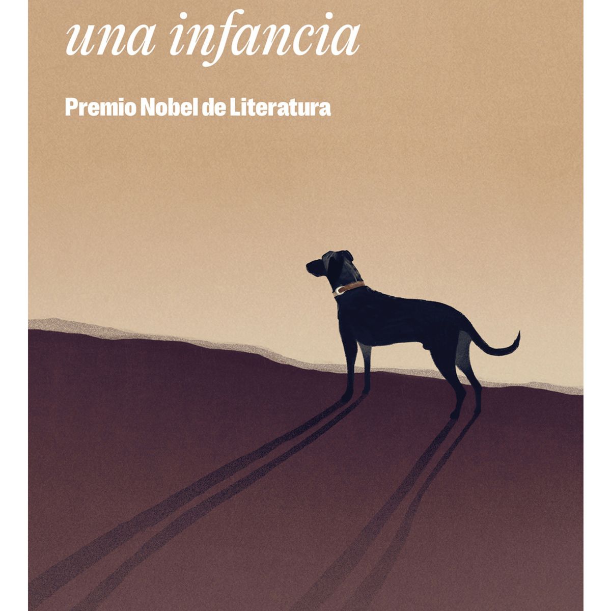 TOP10BOOKS - LIBRO Escenas De Una Infancia - Escenas De Una Infancia