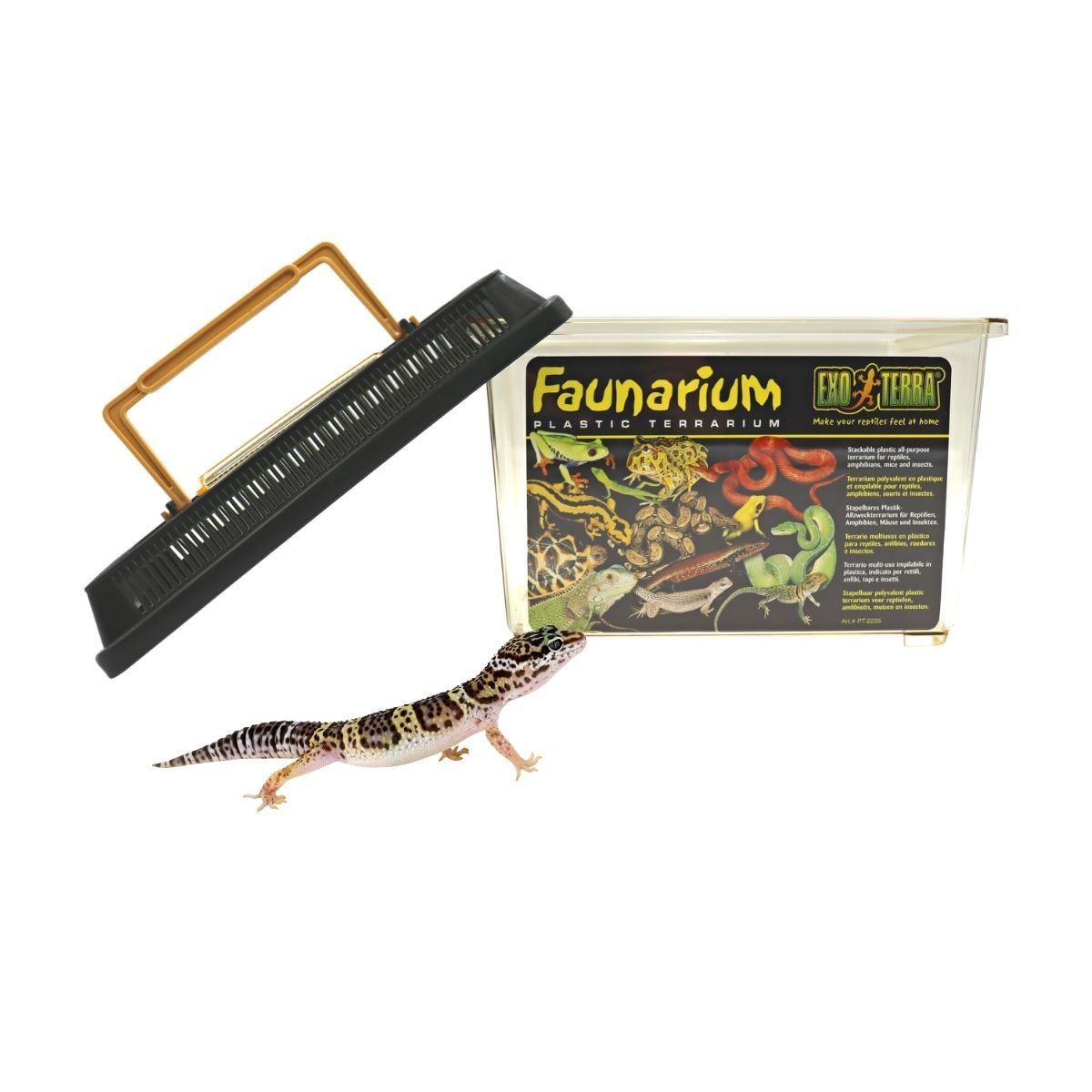 GENERICO - Faunarium Exo Terra Terrario Pequeño Reptiles