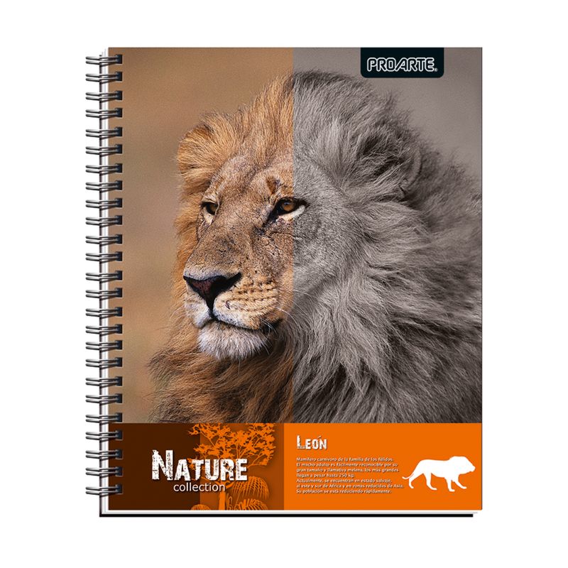 PROARTE - Set 10 Cuadernos Univer Proarte 7mm 100hjs Nature