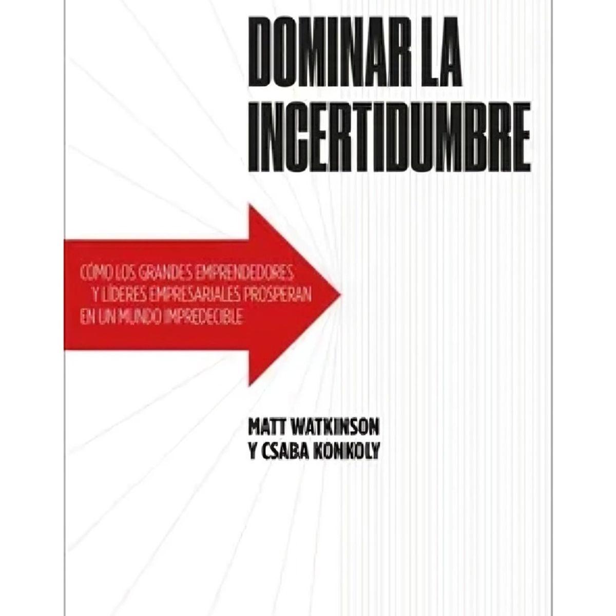 TOP10BOOKS - LIBRO Dominar La Incertidumbre - Dominar La Incertidumbre