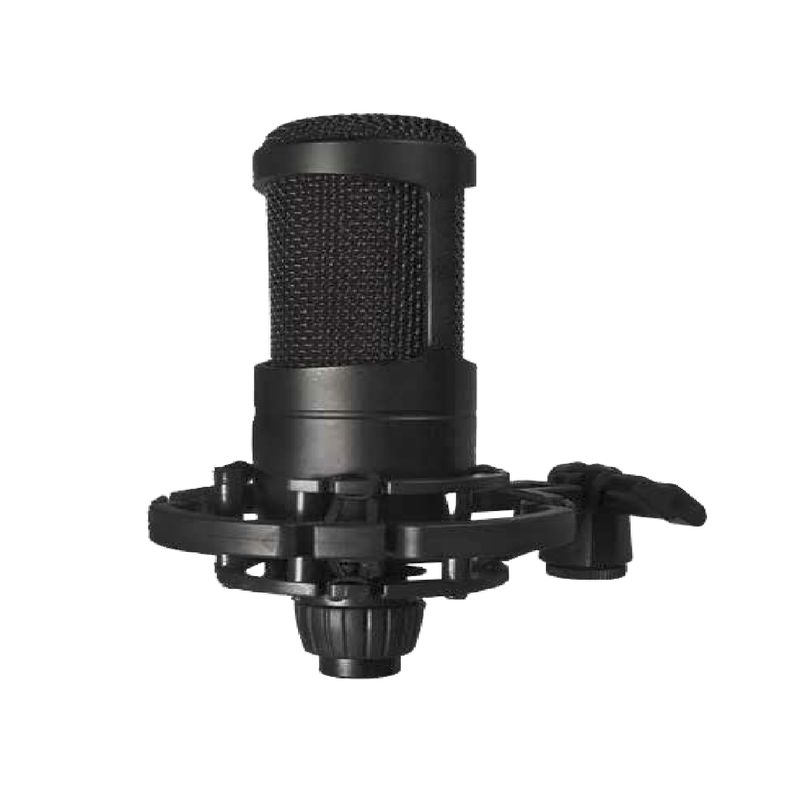 AUDIO PRO - Microfono Condensador Profesional