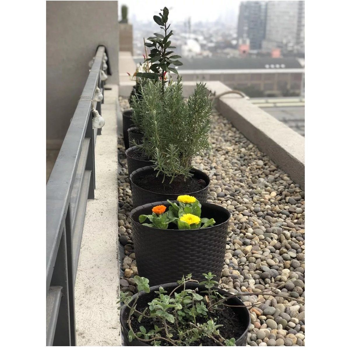 REYPLAST - Macetero Redondo Estilo Ratán Maceta Jardinería Plantas