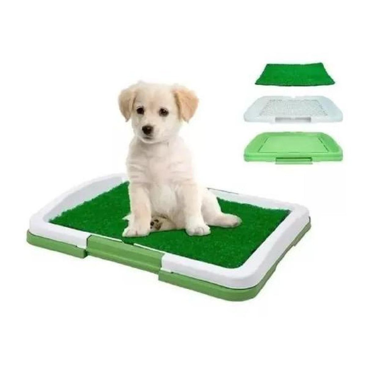 GENERICO - Baño ecológico para perros y mascotas