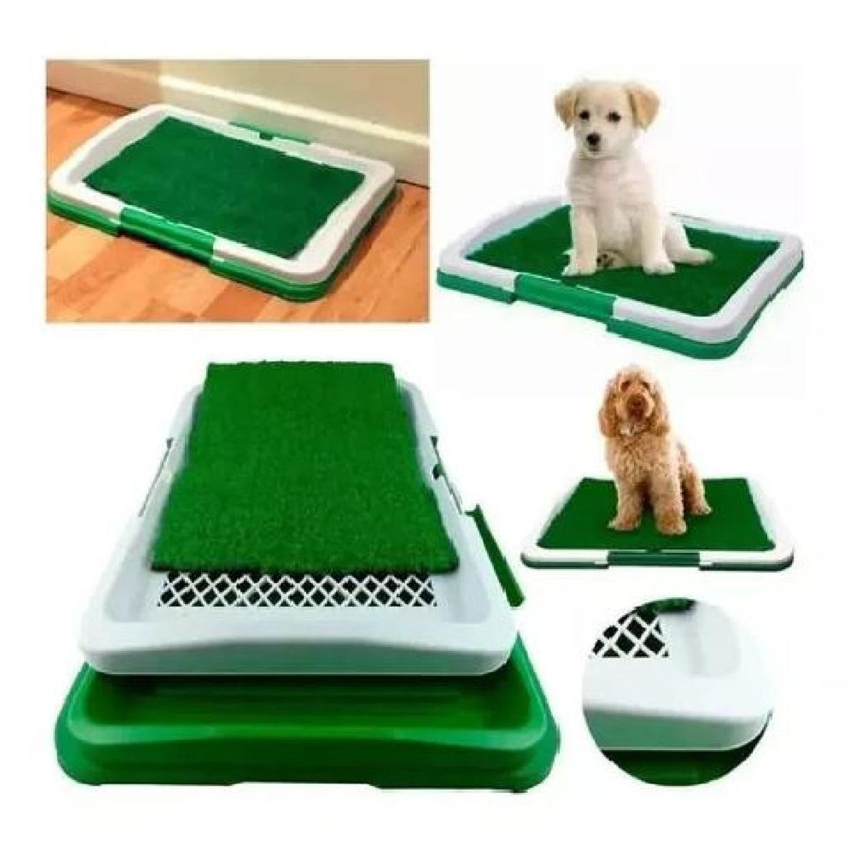 GENERICO - Baño ecológico para perros y mascotas