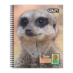COLON - Pack 10 Cuadernos Univer. 7mm 100hjs Buin Zoo