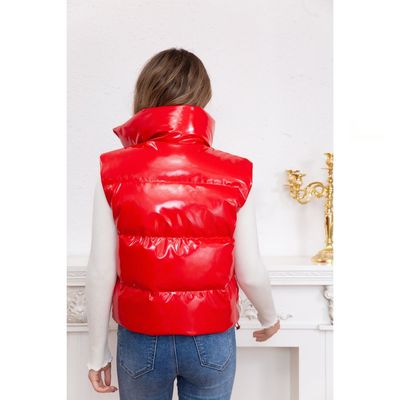 Imagen 2 del producto Parka Puffa Mujer Chaqueta Sin Mangas Calidad 5002