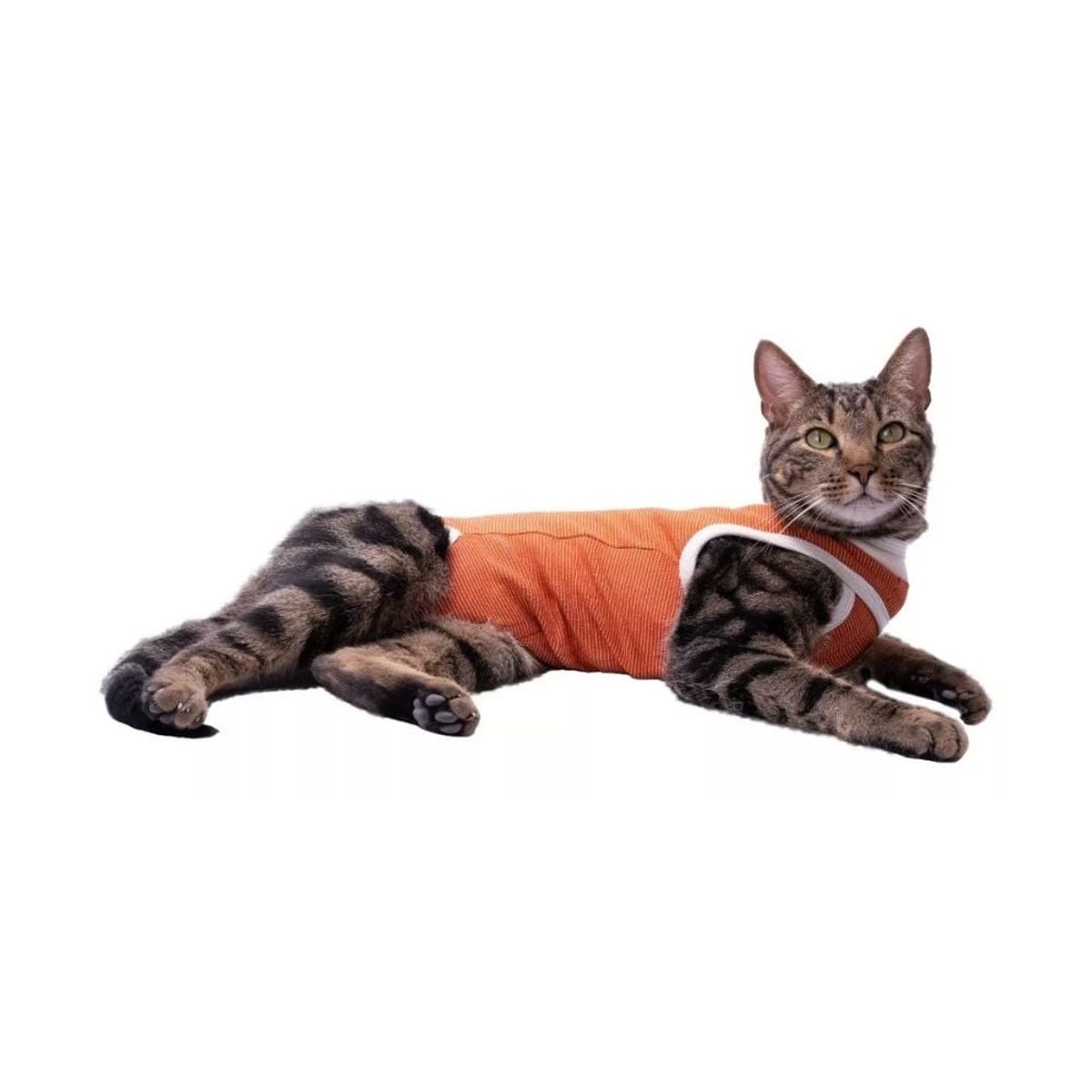 KIMBAVET - BodyCobre® Kimba Tradicional - Talla 7 (13 - 17 Kg)