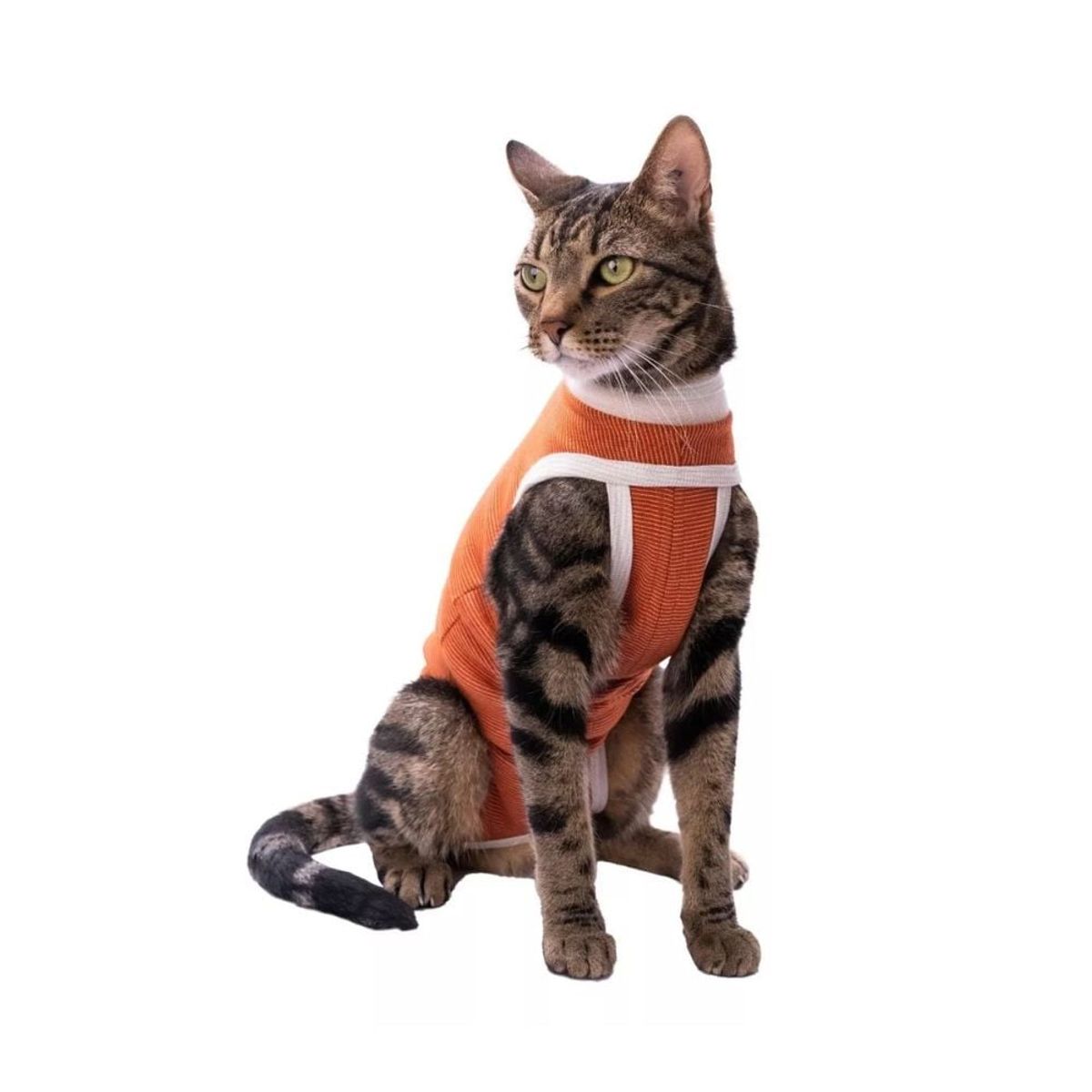 KIMBAVET - BodyCobre®  Kimba Tradicional - Talla 4 (6 - 7,5) Kg