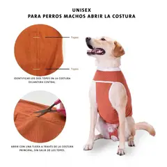 KIMBAVET - Body Cobre Kimba Tradicional - Talla 3 (4,5 - 6 Kg)