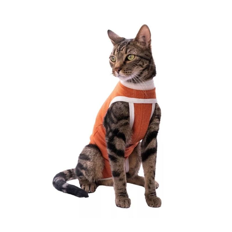 KIMBAVET - Body Cobre Kimba Tradicional - Talla 6 (10 - 13 Kg)