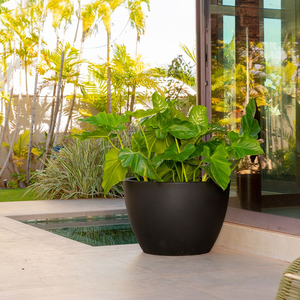 MILK - Macetero Vietnamita 48 XL Negro