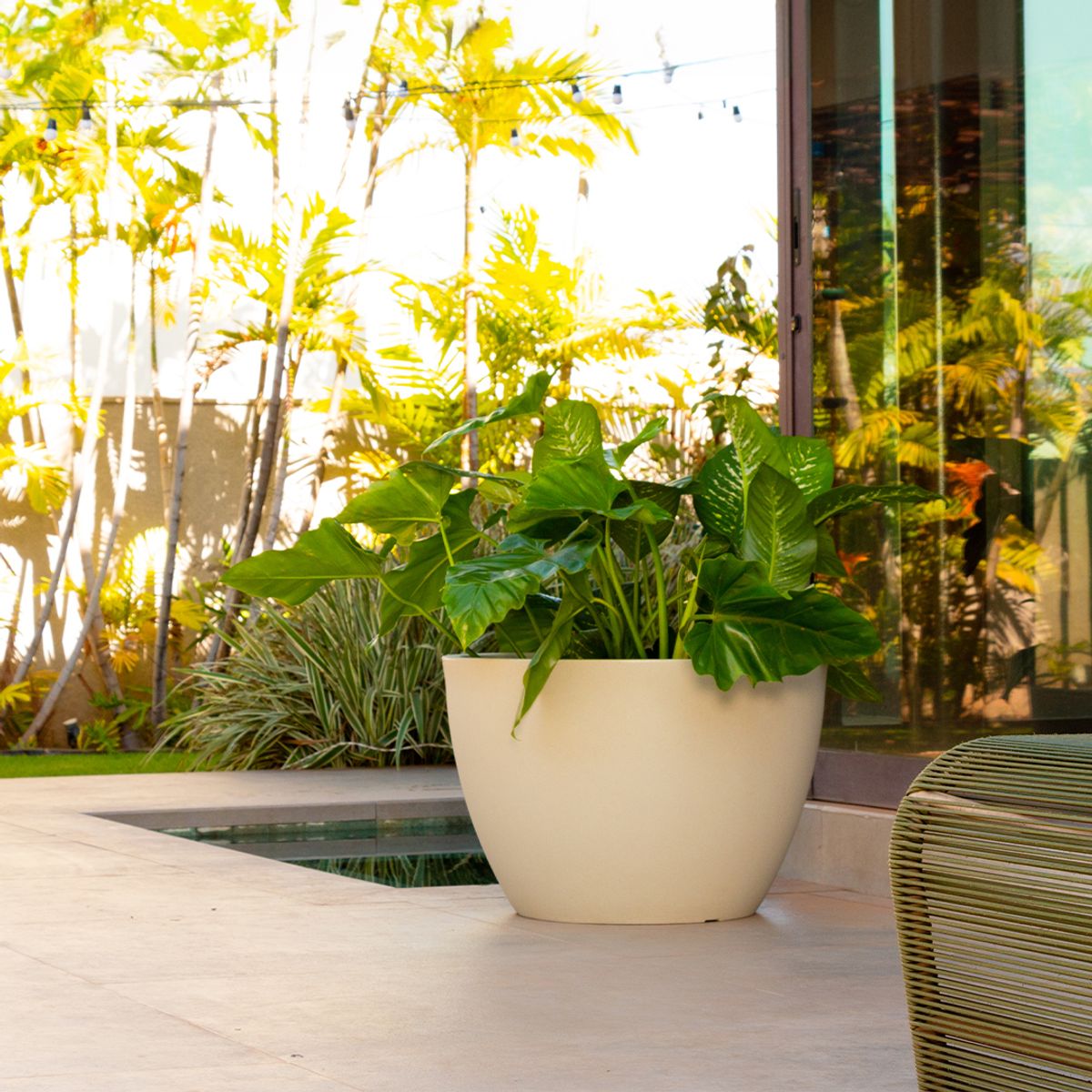 MILK - Macetero Vietnamita 48 XL Arena