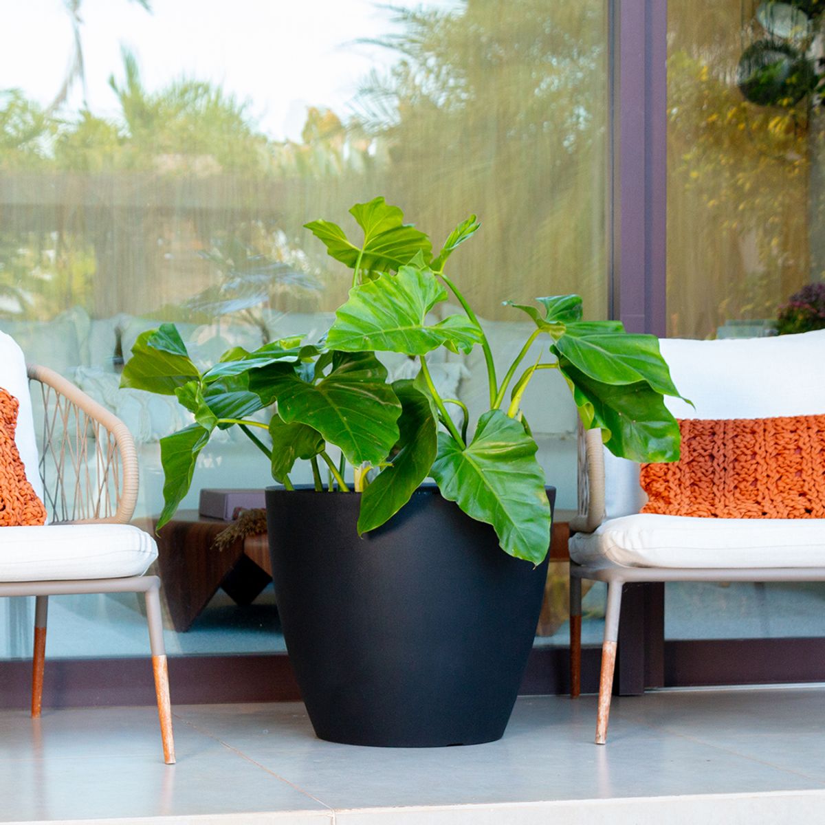 MILK - Macetero Vietnamita 48 Negro