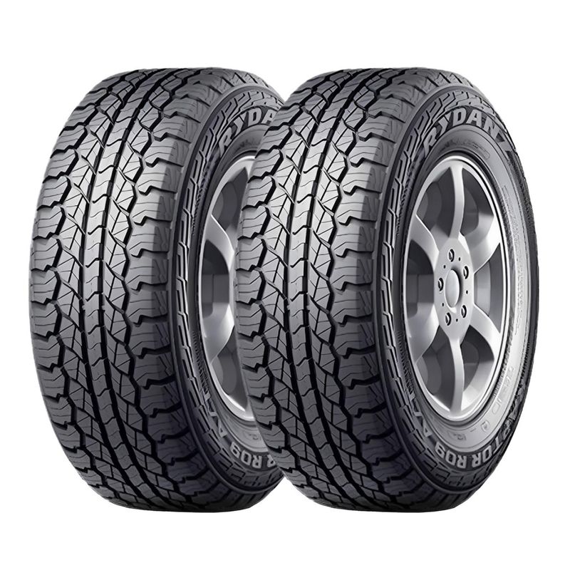 GENERICO - SETX2 Neumático 315/70R17 RAPTOR R09 Rydanz A/T LT