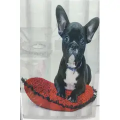 ANGELES DEL HOGAR - CORTINA PARA BAÑO DE GENERO 180 CM X 180 CM