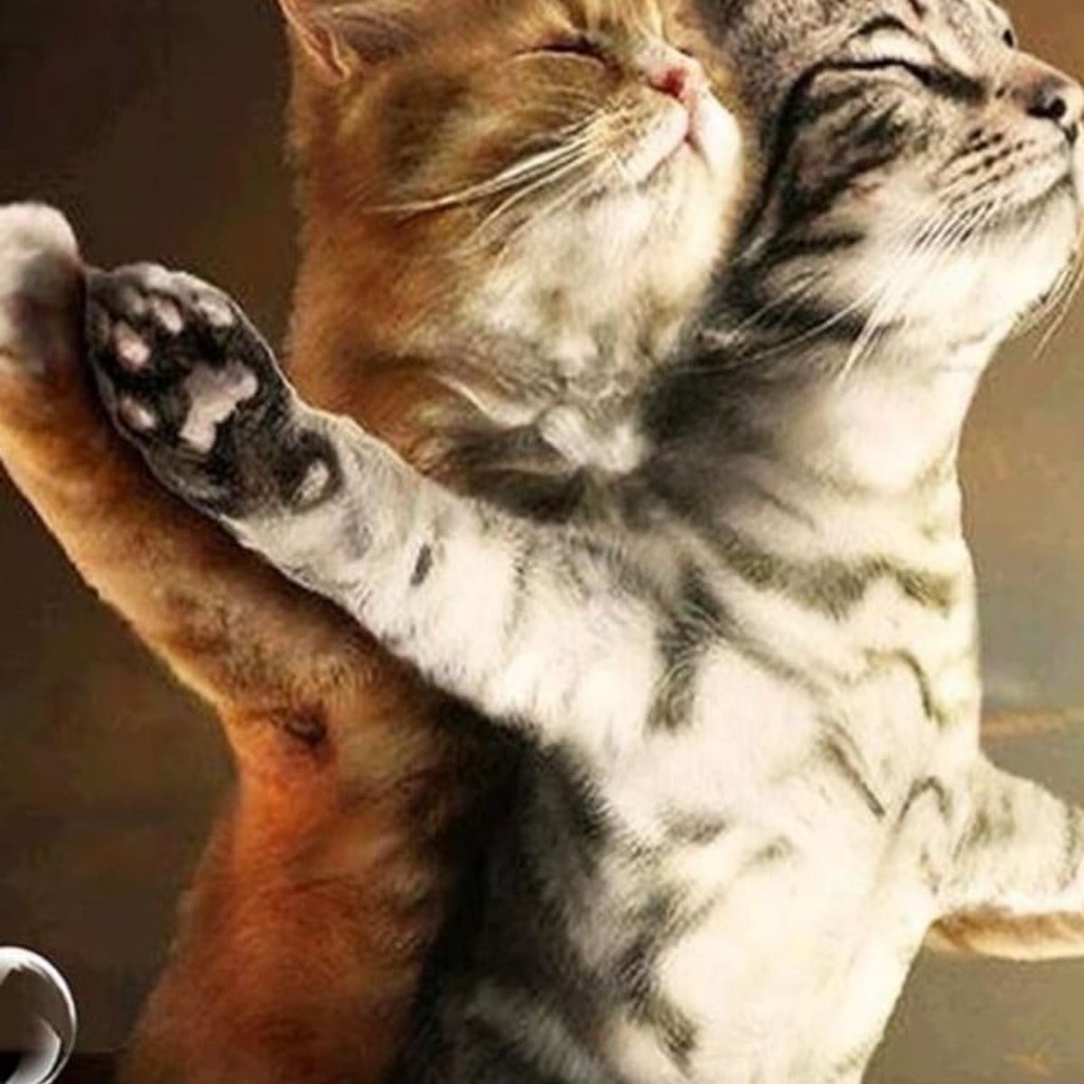 GENERICO - CORTINA DE BAÑO MAS FORRO DE DUCHA IMPERMEABLE