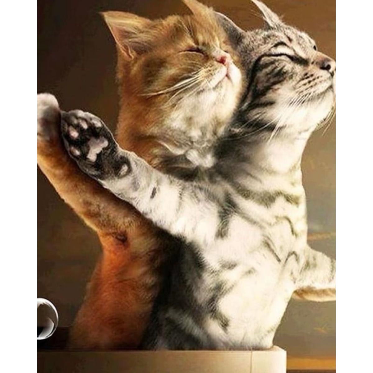 GENERICO - CORTINA DE BAÑO MAS FORRO DE DUCHA IMPERMEABLE