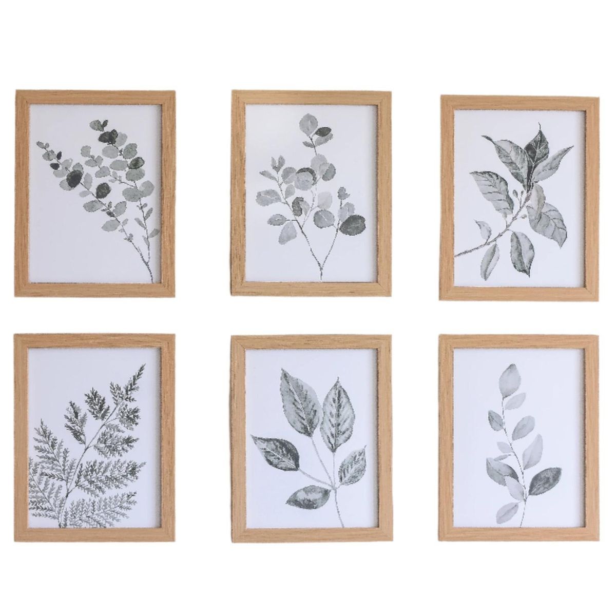 DECO EXPRESS - Set 6 Cuadros decorativos Botánico leaf.