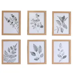 DECO EXPRESS - Set 6 Cuadros decorativos Botánico leaf