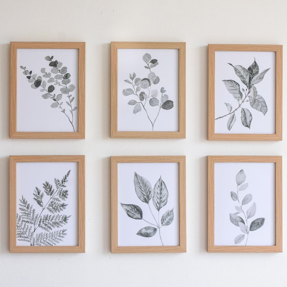 DECO EXPRESS - Set 6 Cuadros decorativos Botánico leaf.