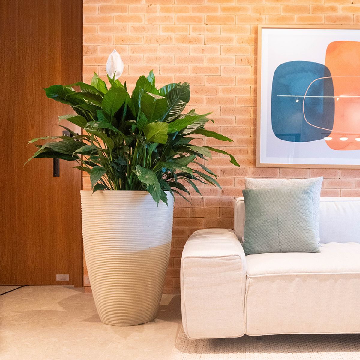 MILK - Macetero Cone Riscato 77 Arena Con Plato