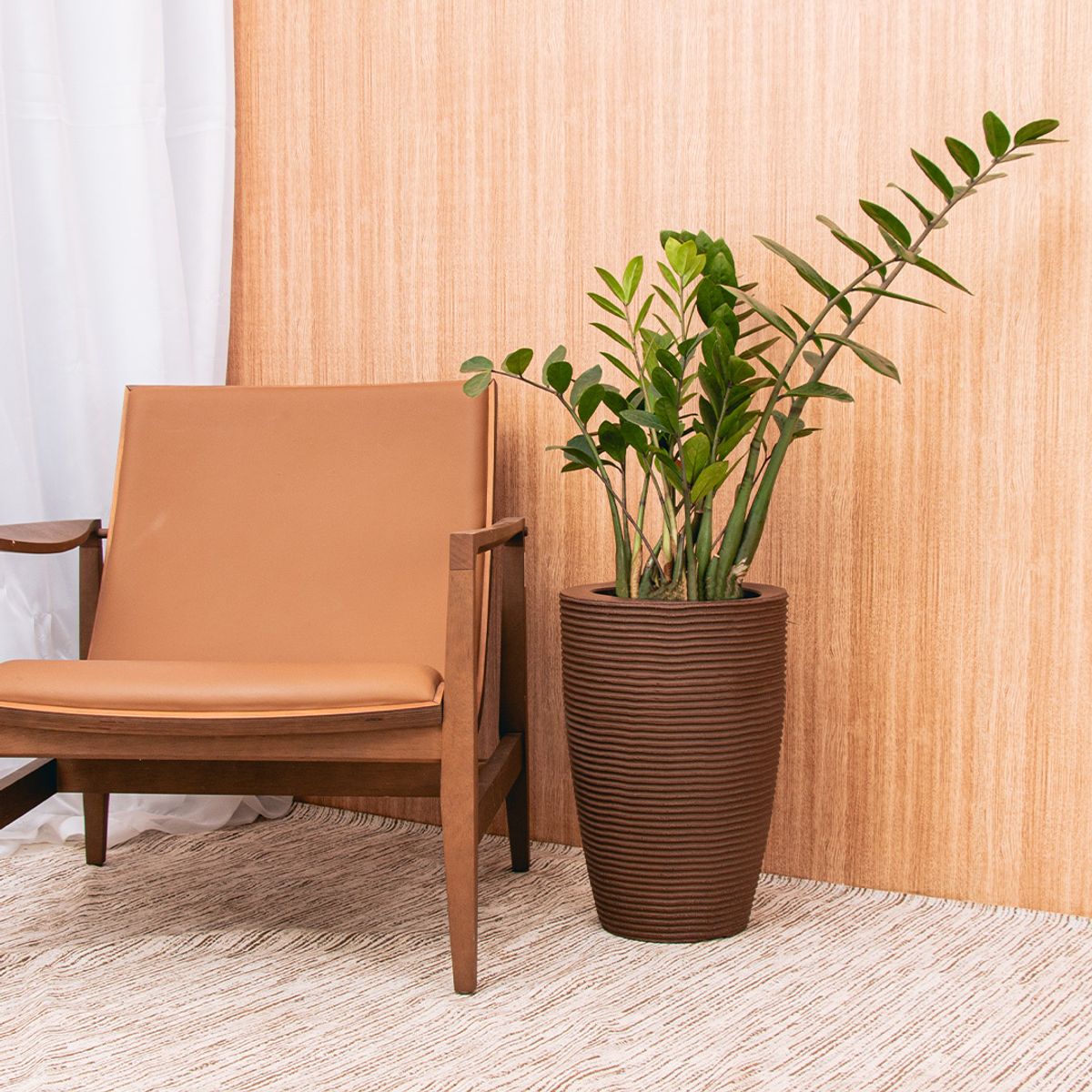 MILK - Macetero Cone Riscato 55 Café Con Plato