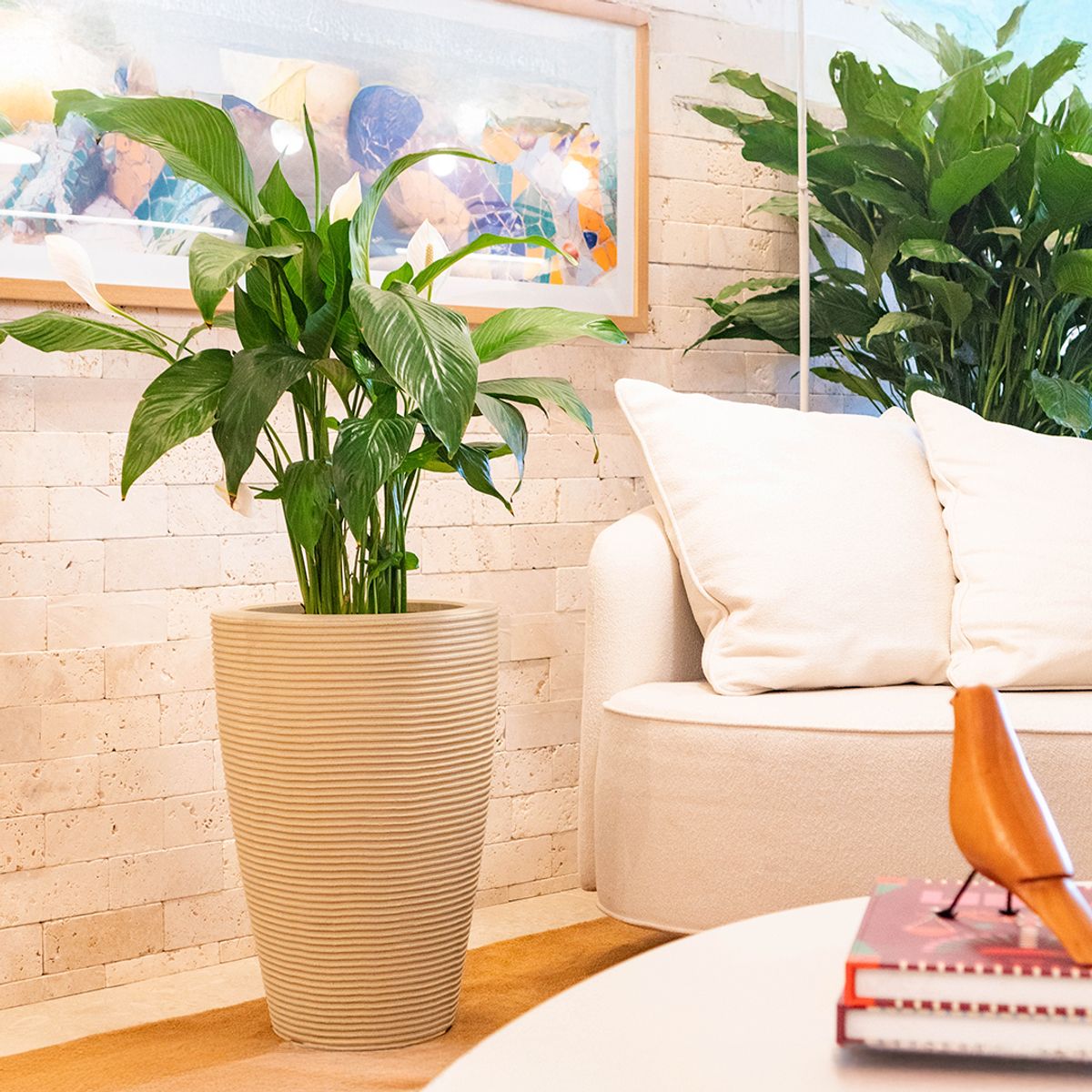 MILK - Macetero Cone Riscato 55 Arena Con Plato