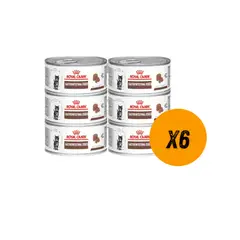ROYAL CANIN - Lata Gastrointestinal Kitten 195gr (6 unidaes)
