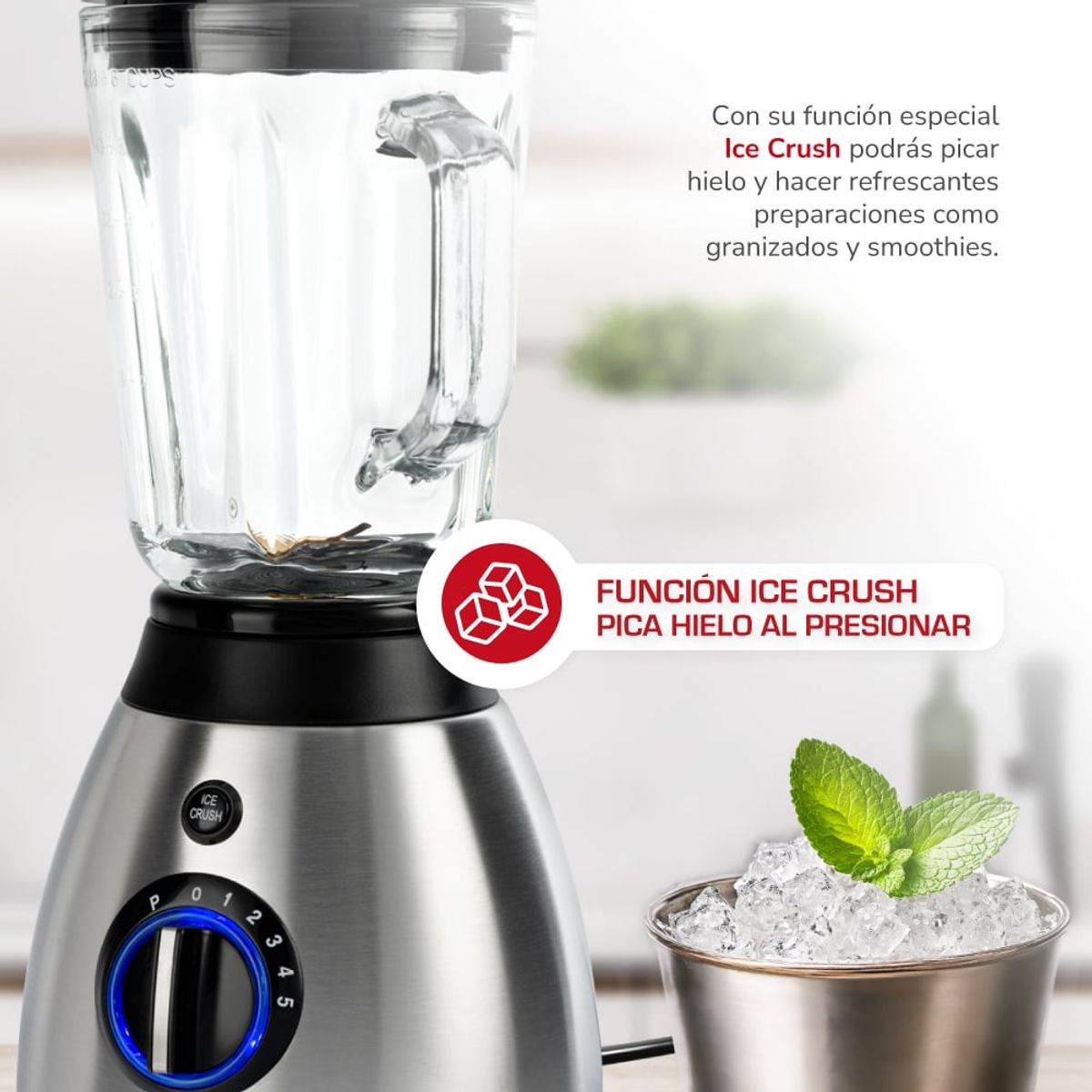 THOMAS - Licuadora 1,5 lts. TH-510Vi