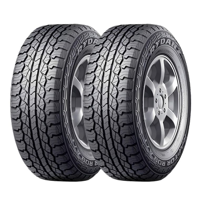 レイニー　R210 SETX2 Neumático 275/60R20 RAPTOR R09 Rydanz A/T | Sodimac Chile