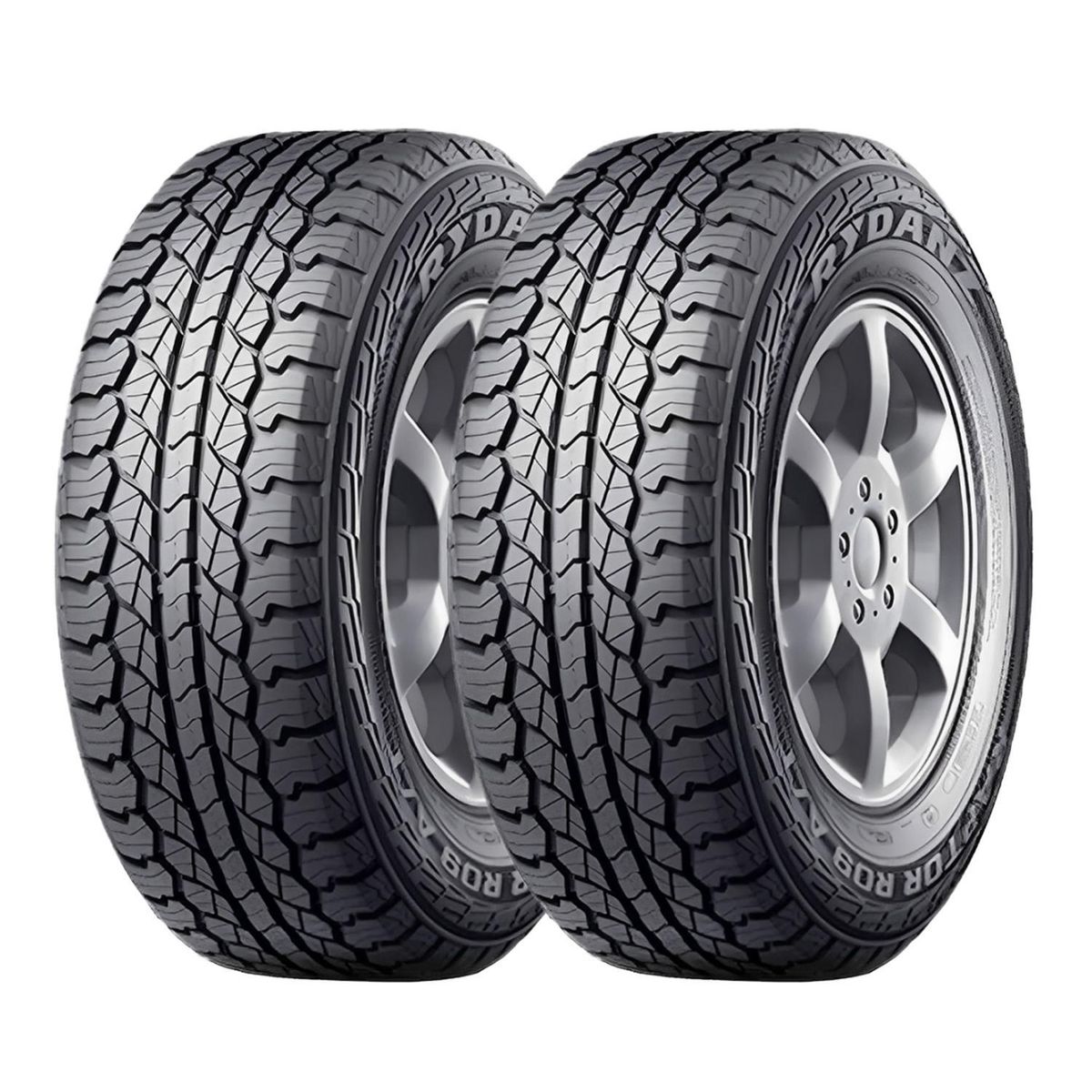 GENERICO - SETX2 Neumático 275/60R20 RAPTOR R09 Rydanz A/T