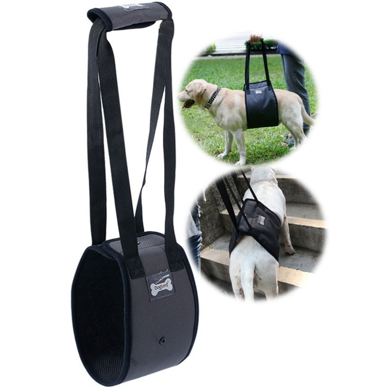 GENERICO - Arnes Soporte Para Perro Patas Traseras Arnes De Elevacion L