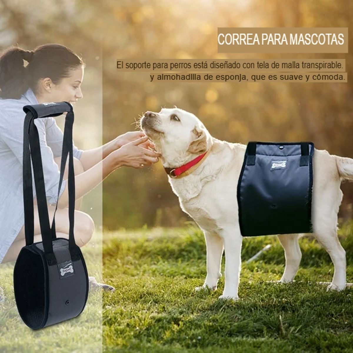 GENERICO - Arnes De Elevacion Para Perros Arnes Soporte Apoyo Mascota M