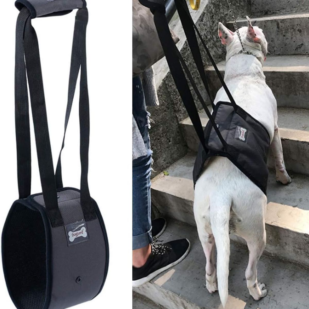 GENERICO - Arnes De Elevacion Para Perros Arnes Soporte Apoyo Mascota M