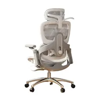 Silla De Escritorio Reclinable E05 Gris