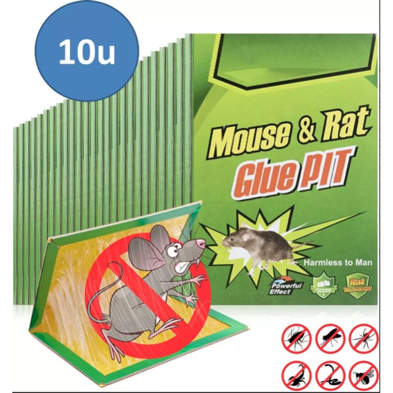 LERNEN - Pack De 10 Trampas Para Ratones Adesiva Pegajosa Para Ratón