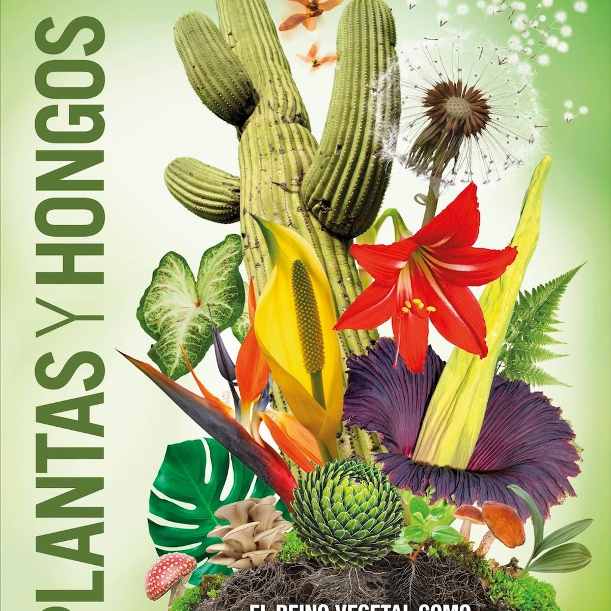 EDITORIAL DK - Libro Plantas y hongos (Mundo 3D) - Dk