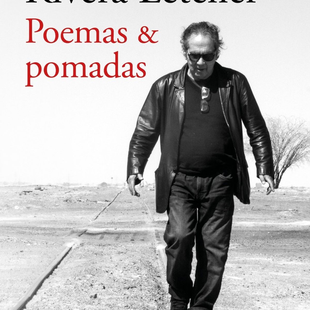 ALFAGUARA - Libro Poemas y pomadas - Hernán Rivera Letelier