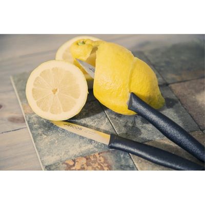 Imagen 2 del producto Cuchillo Puntilla 9cm Nova Acero Inoxidable Negro