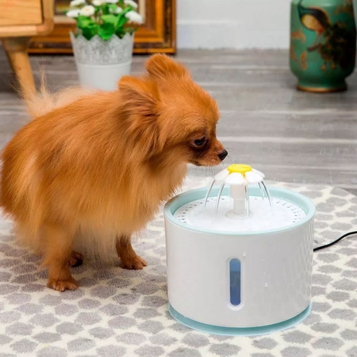 GENERICO - Bebedero eléctrico USB para mascota 2,4 litros