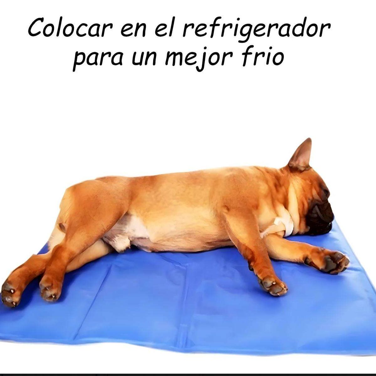 GENERICO - CAMA REFRESCANTE PARA PERROS Y GATOS TALLA MD 50 X 65 CM