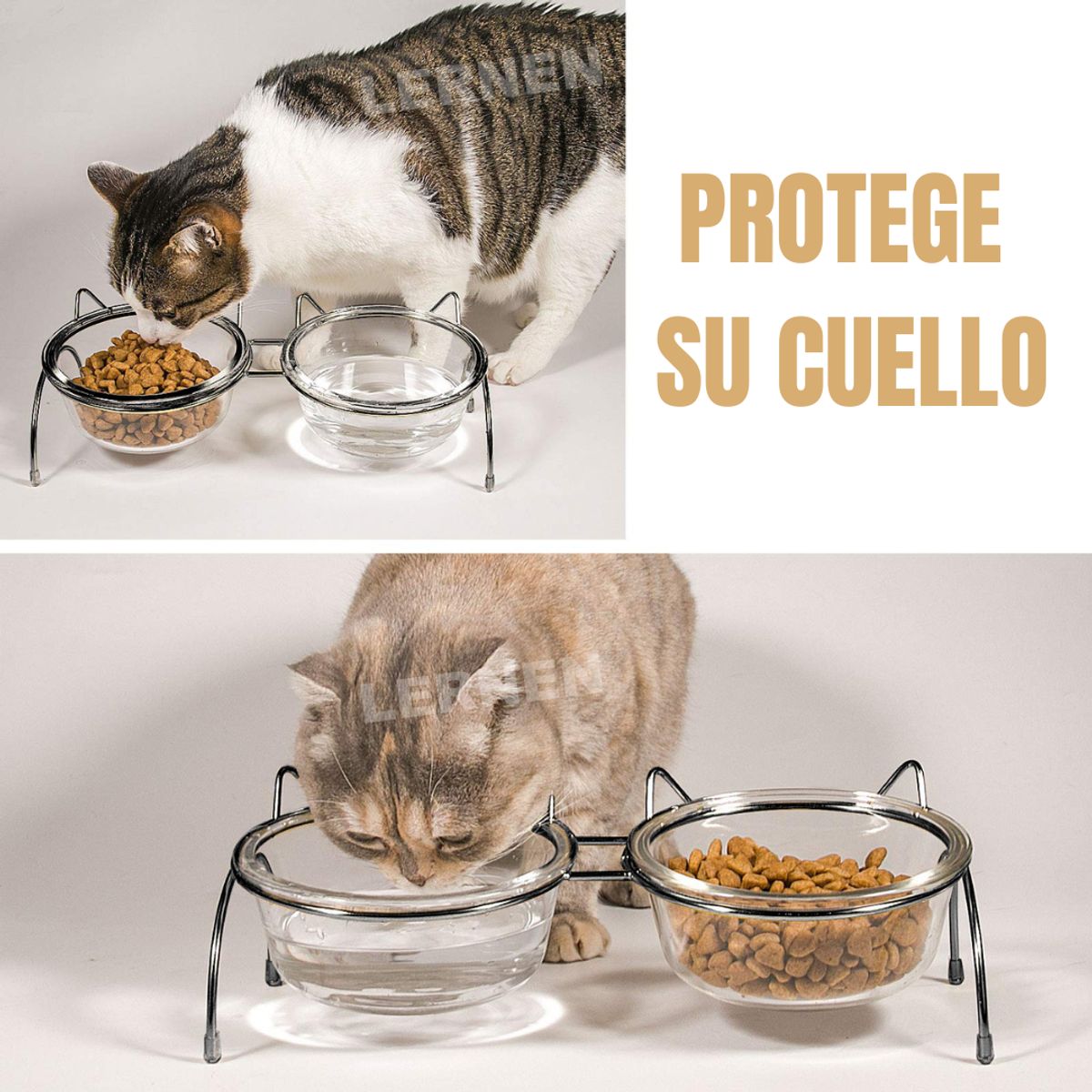 LERNEN - Comedero Bebedero Bowl doble  Gato