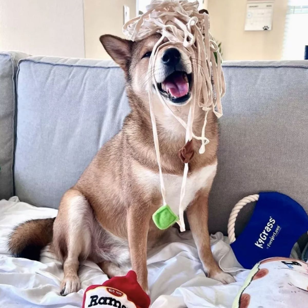 LERNEN - Juguete de peluche interactivo para mascotas  Ramen