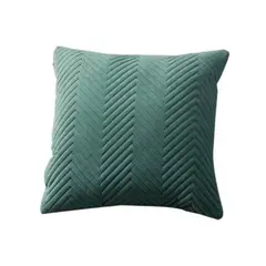 GENERICO - 2 Fundas De Cojin Decorativas De Felpa 45 X 45 Cm Color Verde