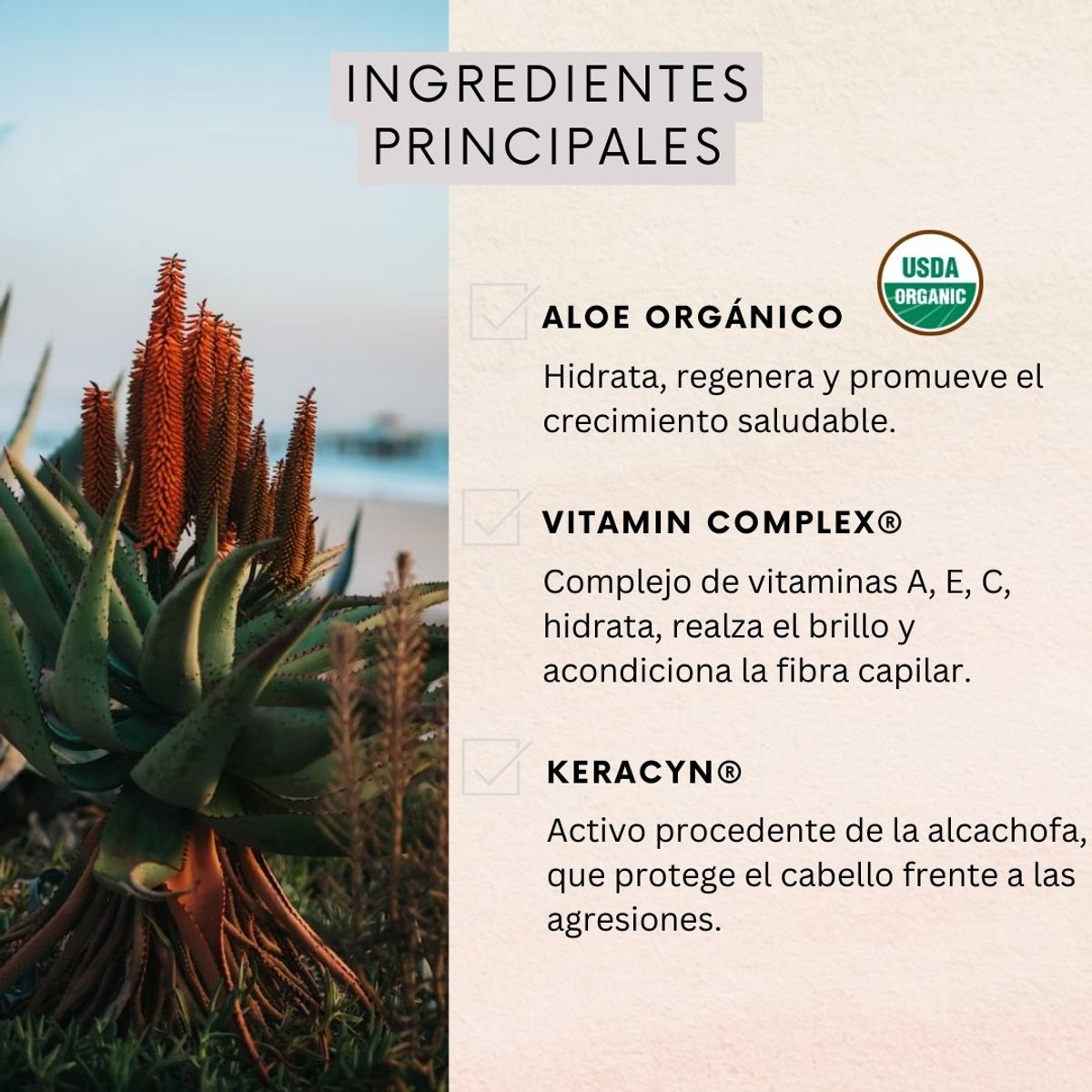 NATURALOE - Shampoo  + Acondicionador Hidratación y Brillo 350ml