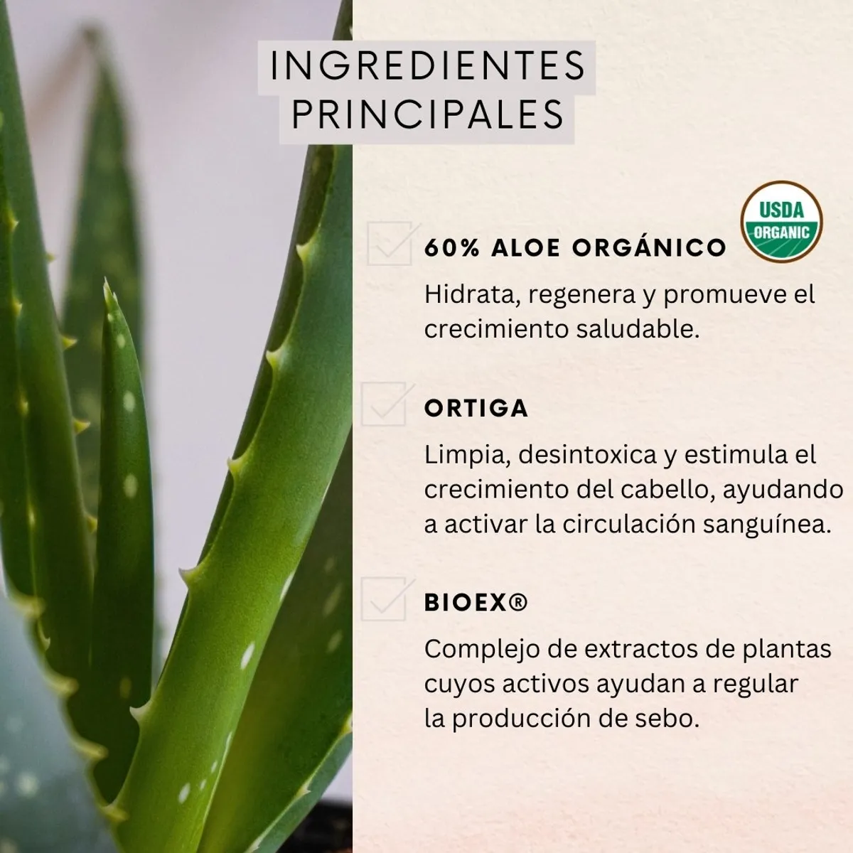 NATURALOE - Pack 3 Shampoo Control Caida Graso 350 ml Naturaloe